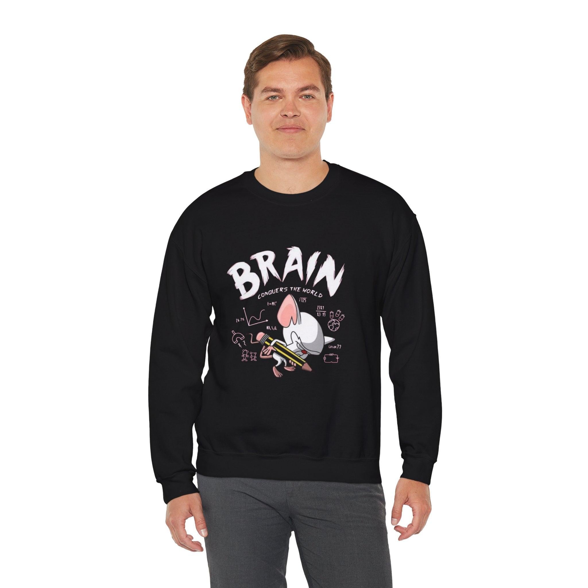 Pinky and the Brain World Domination Sweatshirt, Rodent Lover Gift, Funny Animal Sweater, Cute Mice Jumper, Geeky Graphic Pullover