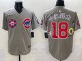 Men's Chicago Cubs Shota Imanaga #18 Gray Game Jersey